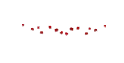 Red Flowers - beautiful - flower - High Resolution PNG