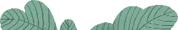 Leaf - leaf - PNG Images