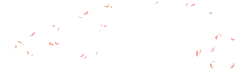 Pink Butterfly - Free PNG
