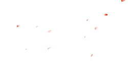 Cherry Blossom Petals - Lossless PNG