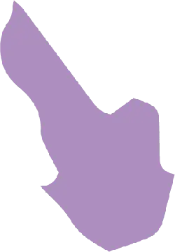 Purple Irregular Shape - Lossless PNG