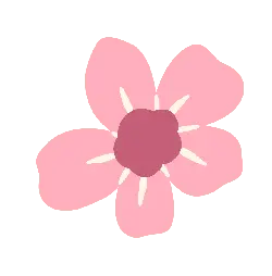 Pink Flower - Free for Commercial Use PNG - pink