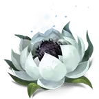 White Lotus Flower - design - Free PNG