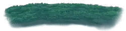 Forest - trees - Free PNG