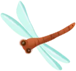 Dragonfly - insect - orange - Lossless PNG