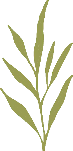 Plant Leaf - art - Free Download PNG