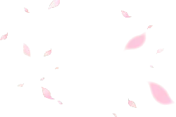 Pink Petals Falling - Trending PNG - decoration