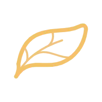 Leaf - High Quality PNG - PNG Images