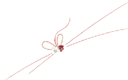 Dragonfly - red - white - Free PNG