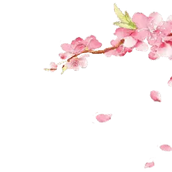 Peach Blossom Branch - nature - spring - Free PNG