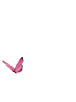 Pink Butterfly - nature - Popular Download PNG