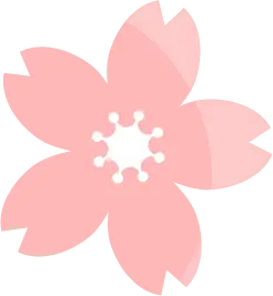 Cherry Blossom - Free PNG - High Quality PNG