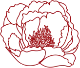Peony Flower - red - line drawing - Free Download PNG