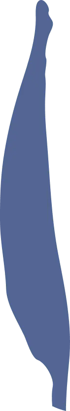 Blue Abstract Shape - Transparent Background PNG