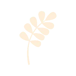 Laurel Leaf - symbol - No Background PNG