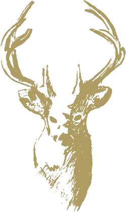 Deer Head - black background - No Watermark PNG