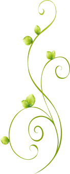 Vine Pattern - High Download Count PNG