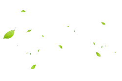 Green Leaves Falling - Highly Rated PNG