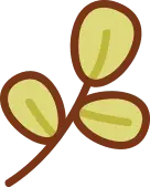 Clover - growth - Designer's Pick PNG