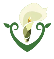 Lily - elegant - nature - Lossless PNG