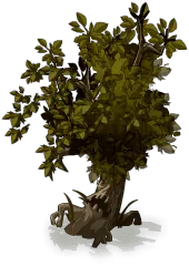 Tree Stump - nature - branches - Free Download PNG