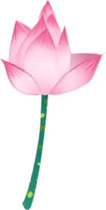 Lotus Flower - flower - stem - Lossless PNG