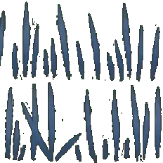Blue Feathers - High Download Count PNG