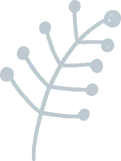 Branch - simple - nature - Transparent Layer PNG