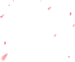 Pink Petals Falling - No Background PNG - nature