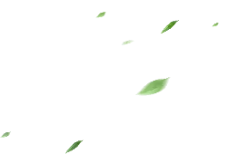 Leaves Falling - Curated PNG - falling