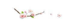 Cherry Blossom Branch - branch - Popular Download PNG