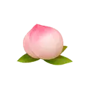 Peach Blossom - Fast Download PNG - No Background PNG