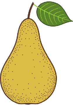 Pear - pattern - PNG Images