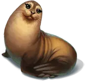 Sea Lion - mammal - No Watermark PNG