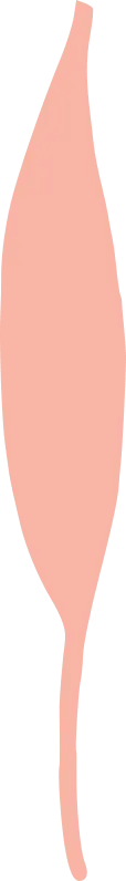 Pink Leaf - shape - PNG Images
