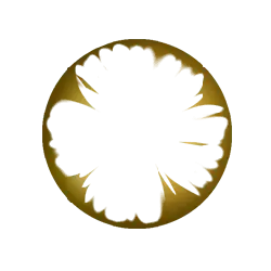 Four Petals Flower - symmetrical - Transparent Layer PNG
