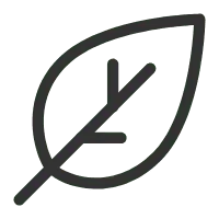 Leaf - environmental protection - No Background PNG