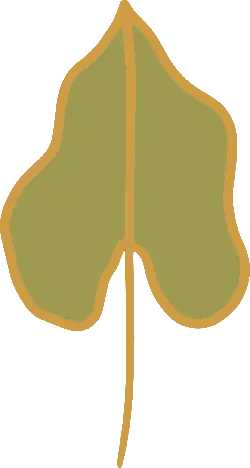 Clover - High Resolution PNG - Recommended PNG
