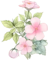 Pink Flowers - plant - watercolor painting - PNG Images