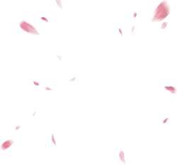 Pink Petals Falling - Recommended PNG - decoration