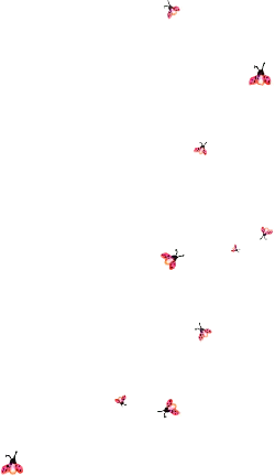 Pink Flowers - bloom - Recommended PNG