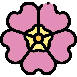Pink Flower - pattern - simple - Transparent Layer PNG