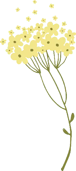 Yellow Flowers - plant - PNG