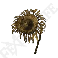 Withered Flower - art - Transparent Background PNG