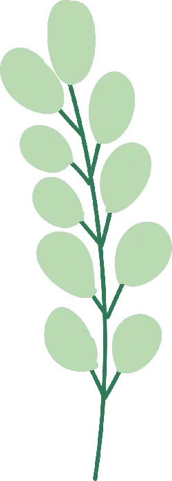 Plant Branch - nature - simple - Transparent Background PNG