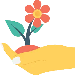 Hand Holding a Flower - growth - High Resolution PNG