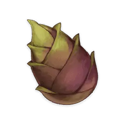 Flower Bud - growth - High Resolution PNG