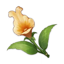 Bell Flower - plant - PNG Images