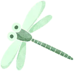 Dragonfly - cartoon - No Watermark PNG
