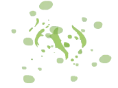 Abstract Green Pattern - High Resolution PNG